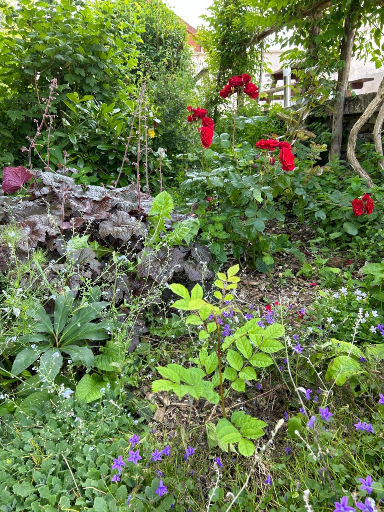 Pivoine Chambre D Hotes Fralignes Экстерьер фото