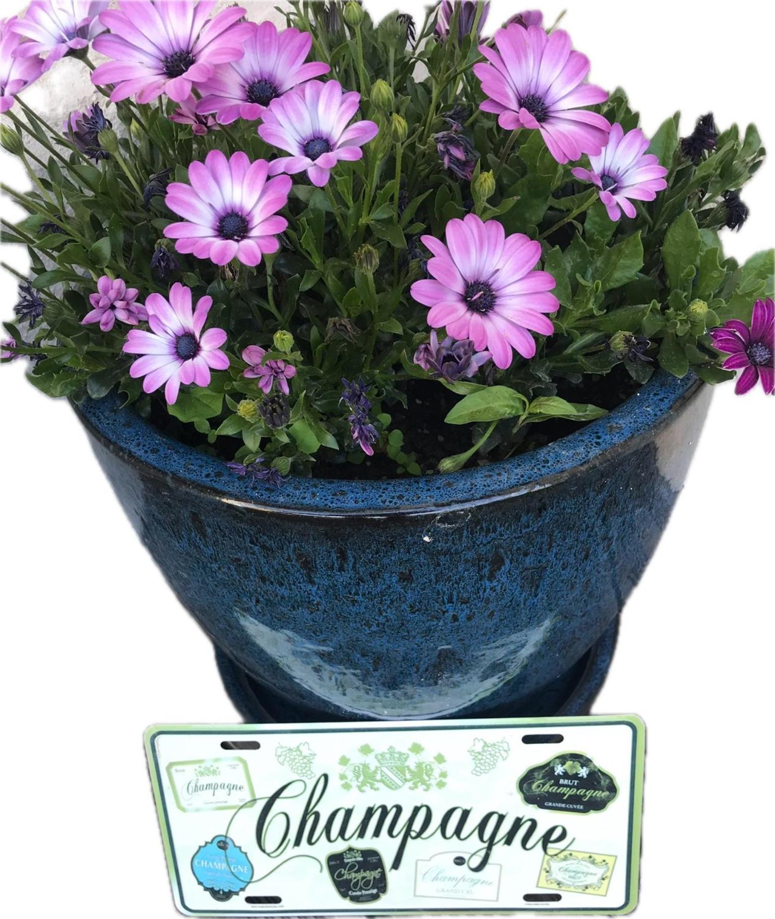Pivoine Chambre D Hotes Fralignes Экстерьер фото